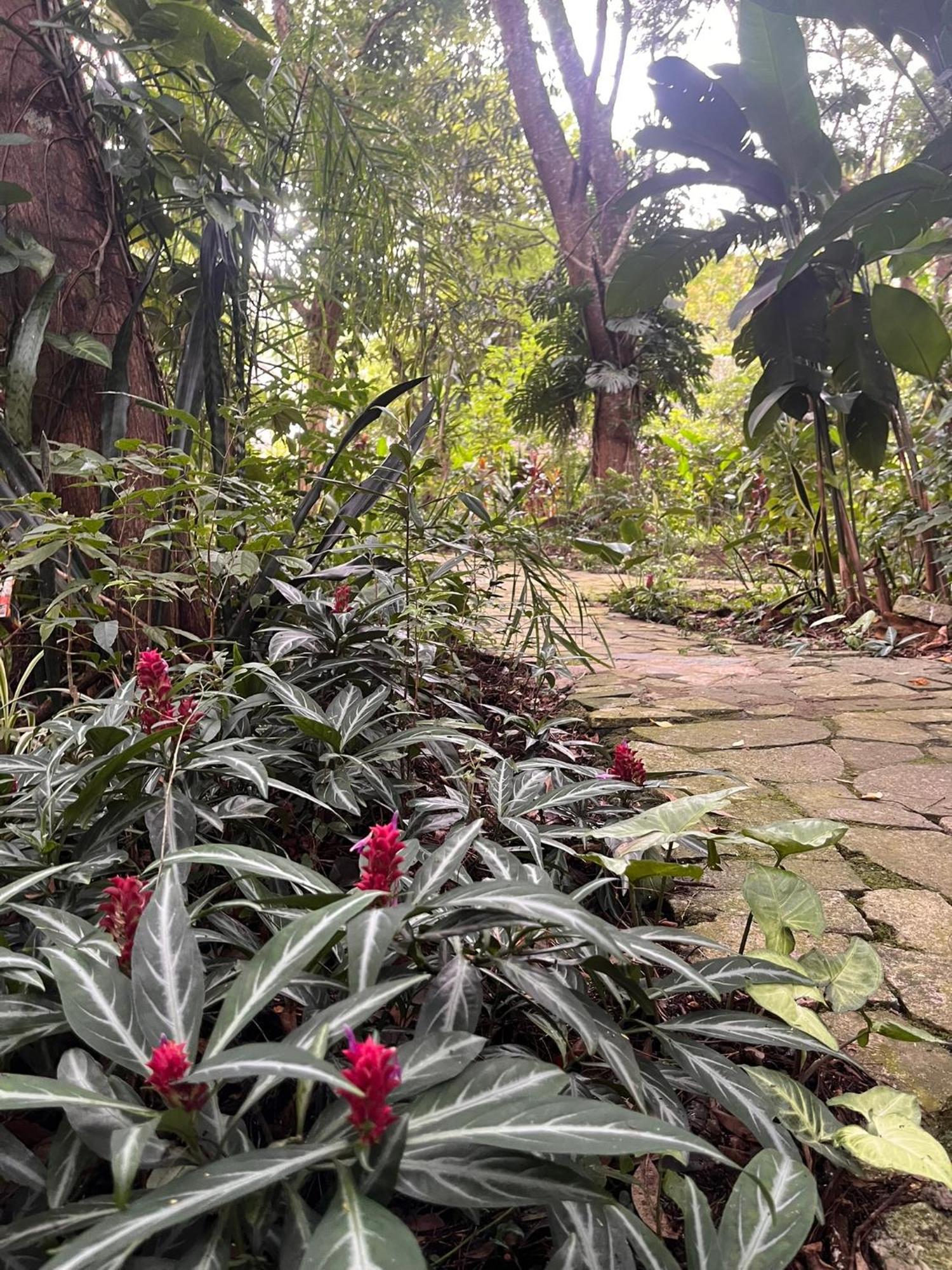 Hotel Curitiba Campo Comprido Eksteriør bilde
