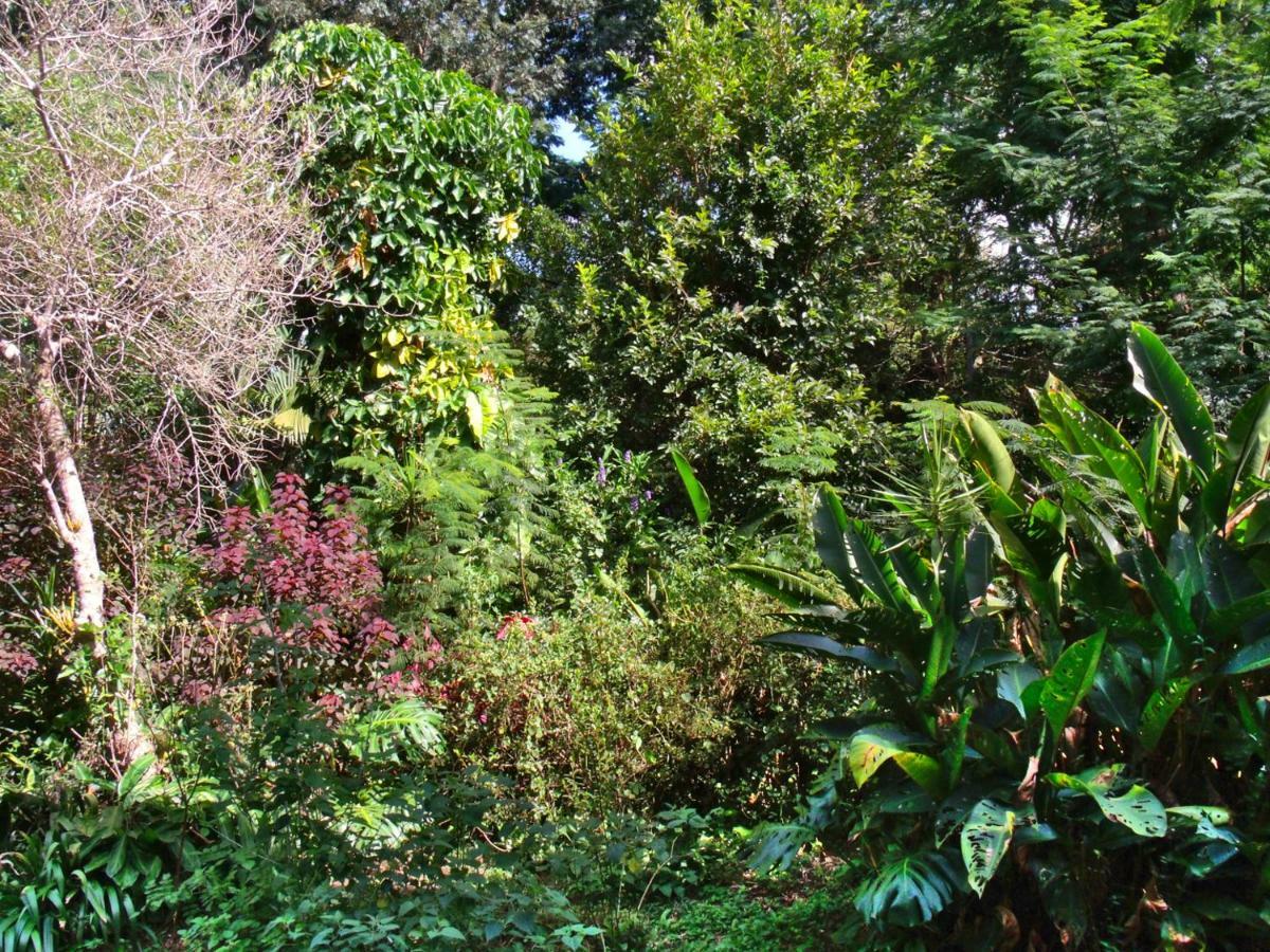 Hotel Curitiba Campo Comprido Eksteriør bilde