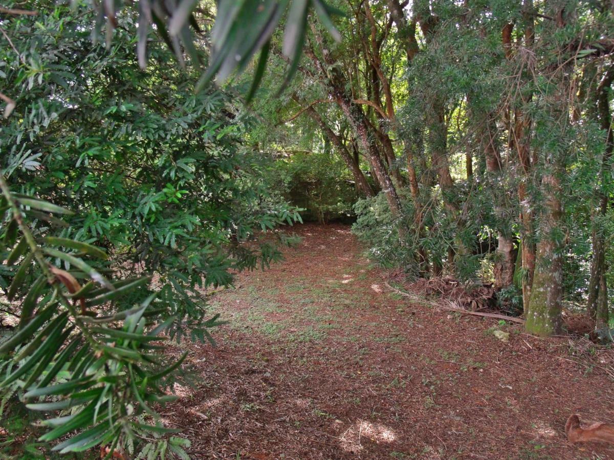 Hotel Curitiba Campo Comprido Eksteriør bilde