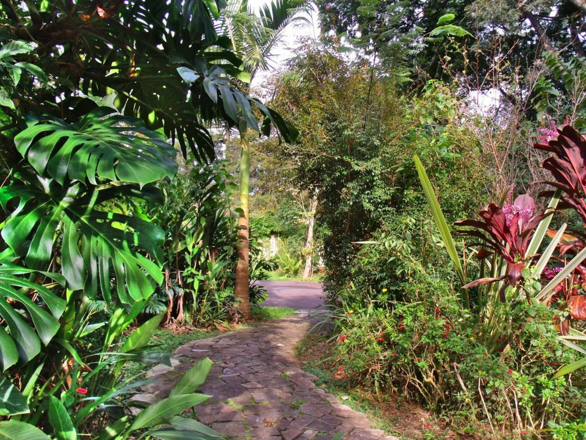 Hotel Curitiba Campo Comprido Eksteriør bilde